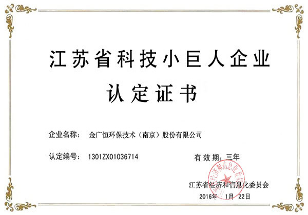 江蘇省科技小巨人企業(yè)認定證書